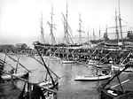 An eastward looking view of the 1884-1900 location of Fisherman's Wharf at the foot of Union Street. Note the bows of the sailing crab boats moored under the pier. A12.725n. 