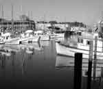 Fisherman's Wharf today.
