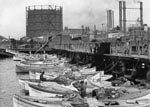 An eastward view of theTaylor Street Fisherman's Wharf, circa 1910. The fleet is beginning to change to accomodate the marine engine. Only one felucca mast remains. A11.9024n.