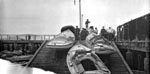 A few of the new fleet of gasoline engine-powered crab boats hauled out on the boat ramp at the new Fisherman's Wharf, circa 1905 (P88-069-075).