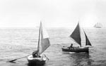 The fleet on the Bay