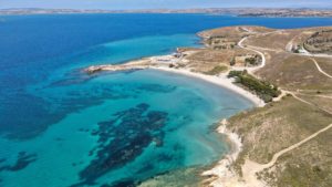 an aerial view of a beach and ocean
